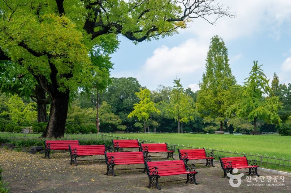 Dalseong Park — Daegu Jung-gu Old Downtown