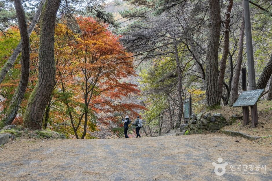 Chuwolsan Mountain — Damyang Metasequoia Road, Damyang Lake & Geumseong Fortress