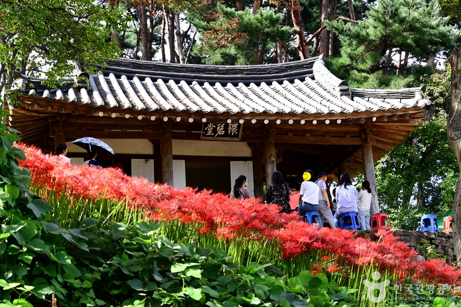 Hwanbyeokdang Pavilion — Damyang Soswaewon, Sigyeongjeong & Gasa Literature District