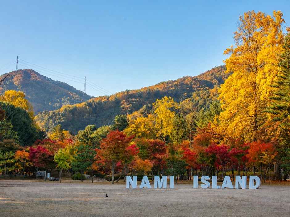 Nami Island — Gapyeong Gapyeong Town, Nami & Jara Islands