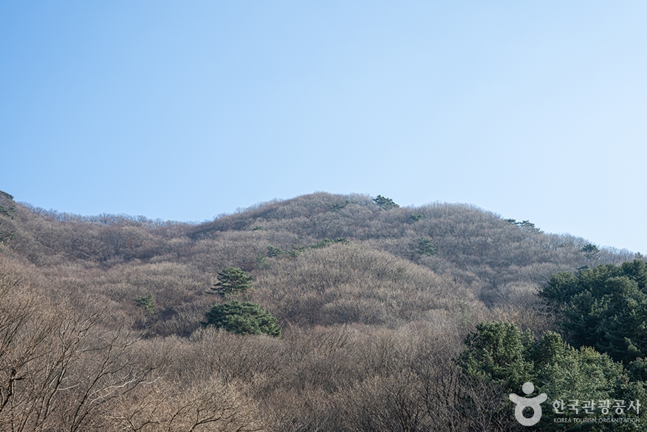 Chuknyeongsan Mountain — Gapyeong Sangmyeon, Morning Calm & Jat Hyanggi