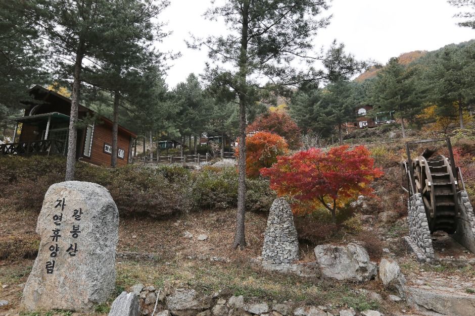 Kalbongsan Recreation Forest — Gapyeong Gapyeong Town, Nami & Jara Islands