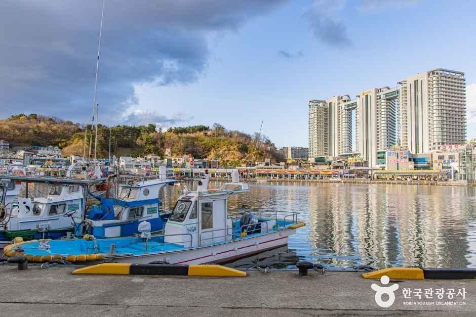 Daepo Port — Sokcho Daepo Port & Oeongchi