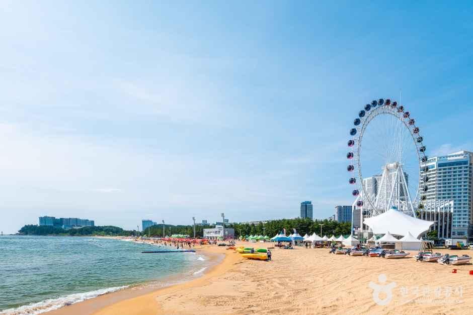 Sokcho Beach — Sokcho Cheongho-dong & Sokcho Beach