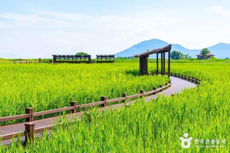 Suncheon Bay Wetland Reserve — Suncheon Suncheon Bay Wetland & National Garden