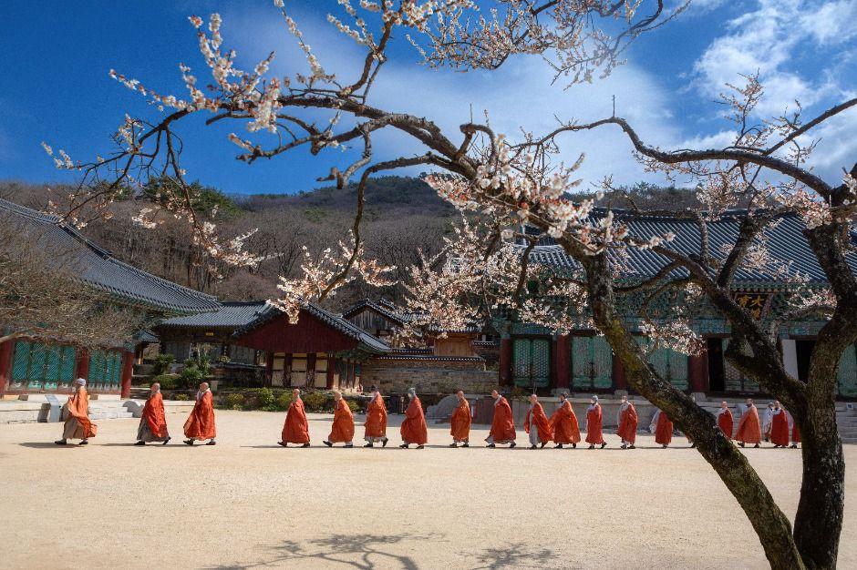 Songgwangsa Temple — Suncheon Jogyesan, Songgwangsa & Seonamsa