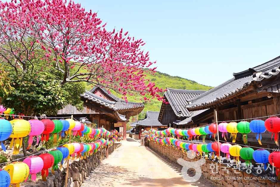 Jogyesan Provincial Park — Suncheon Jogyesan, Songgwangsa & Seonamsa